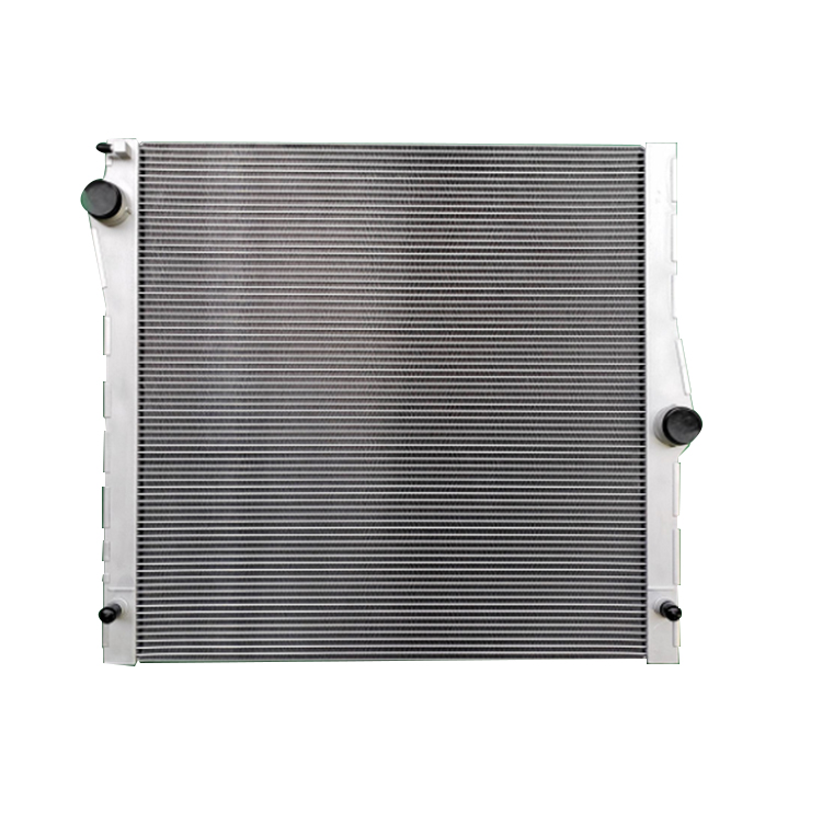 BMW X5 E70 3.0 4.8 2006-2013 Radiador automático